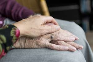 Hands 2906458