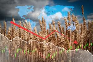 Weizenkurs global