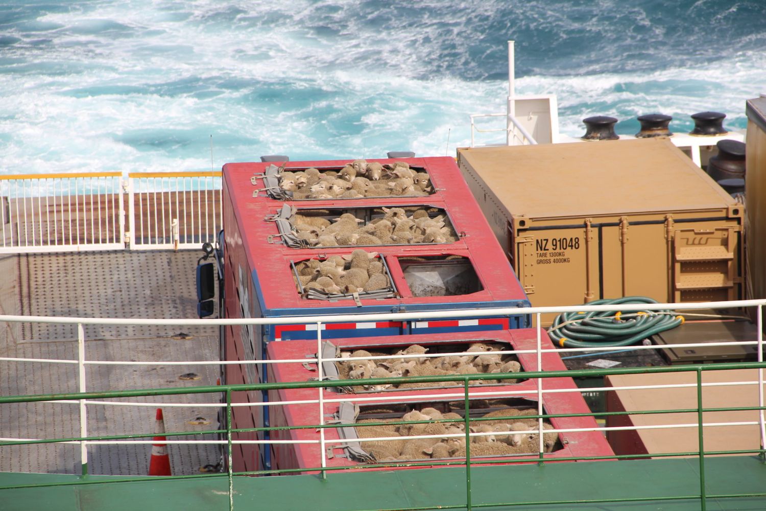 Tiertransport