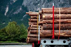 Holztransport