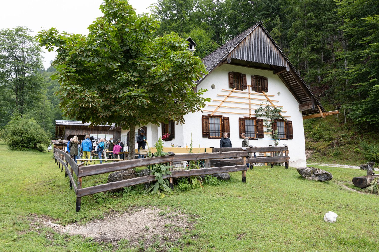 Die Brunntalalm im inneren Goiserer Weißenbachtal steht exemplarisch für die enge Verzahnung von Forst- und Almwirtschaft.
