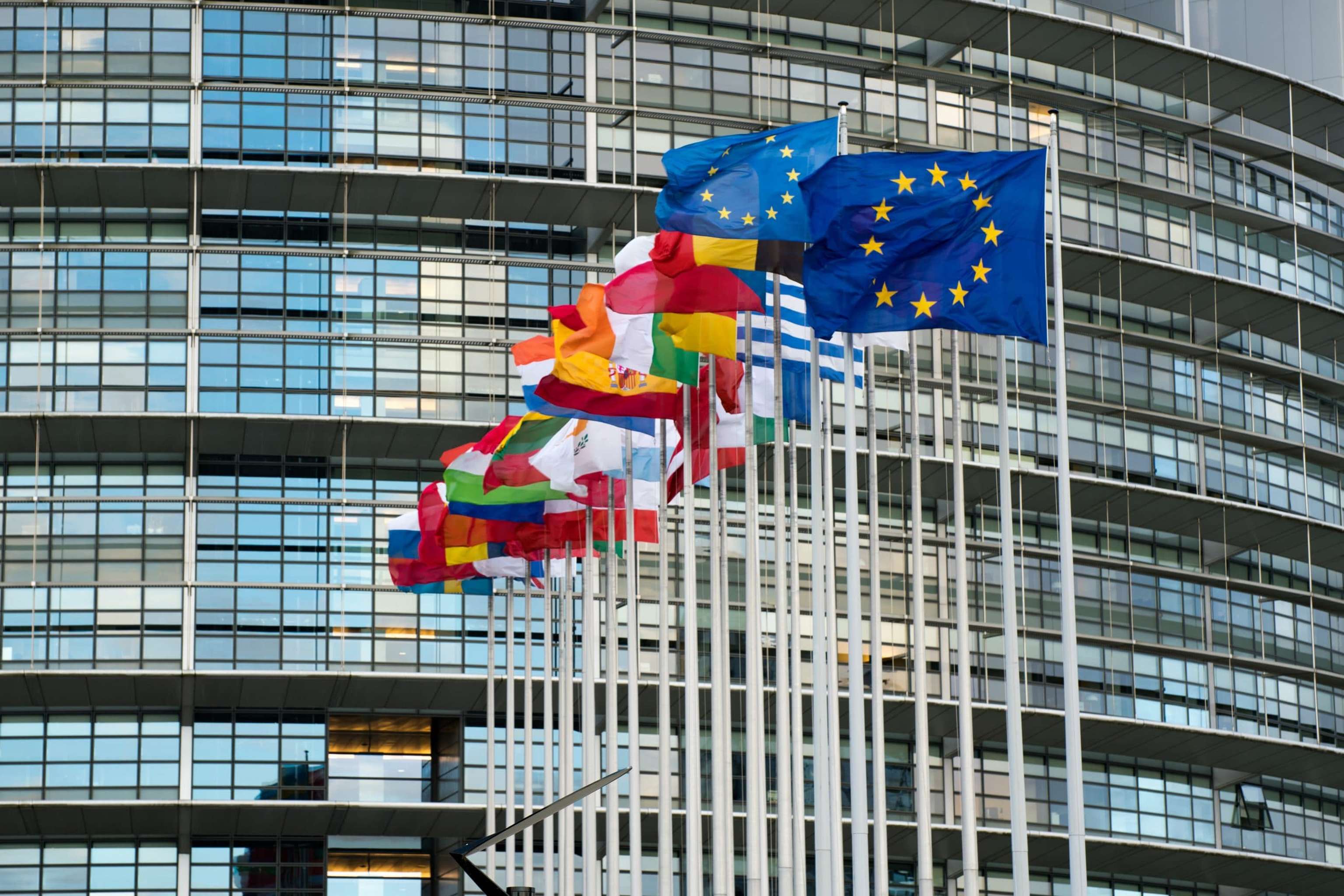 View Of The European Union Parlament Building And Flags Of All Member States In Strasbourg