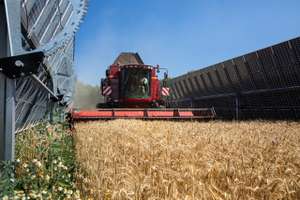 Symbolbild Agri PV Anlage
