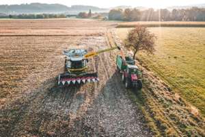 Heindl hilft bei der Ernte.