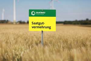 IMG 5935 Saatgut Vermehrung