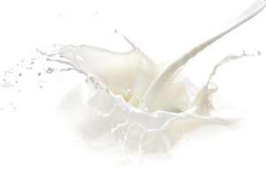 Milk Splash