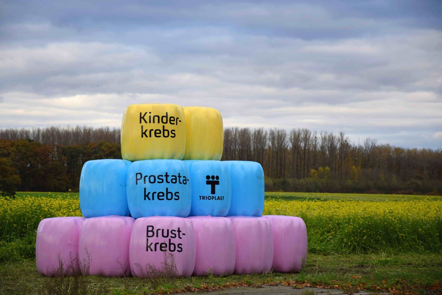 Bild Bunte Ballen Kopie