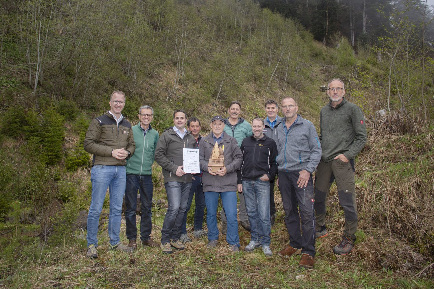 Schutzwald