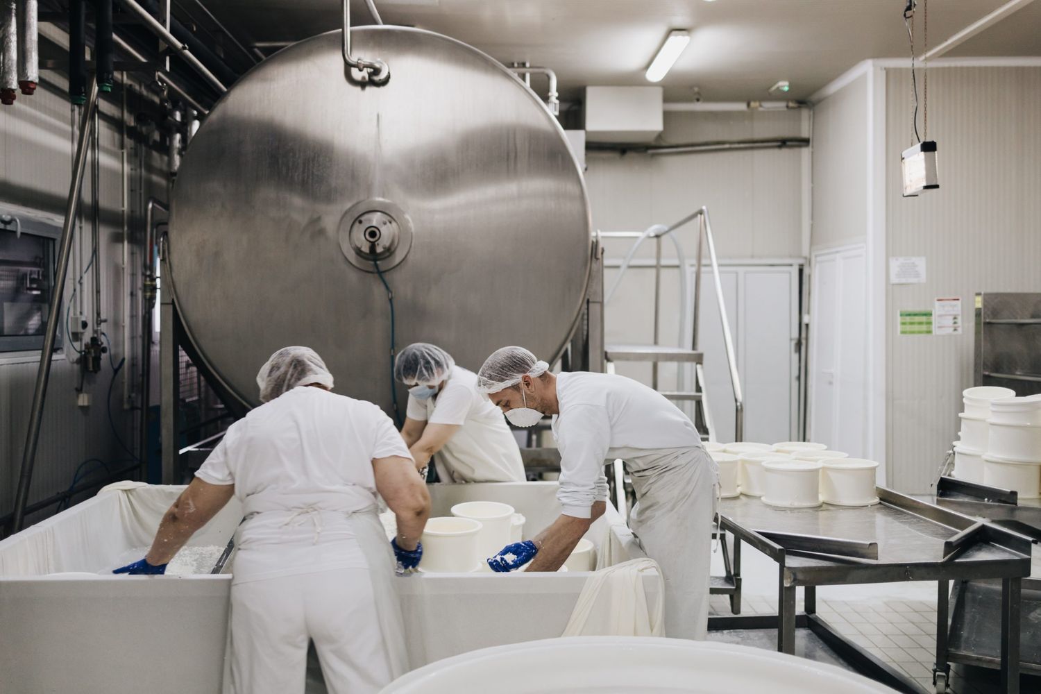 Manual Workers In Cheese And Milk Dairy Production Factory. Trad