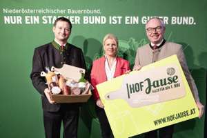 Hofjause Anna Schuecker 2