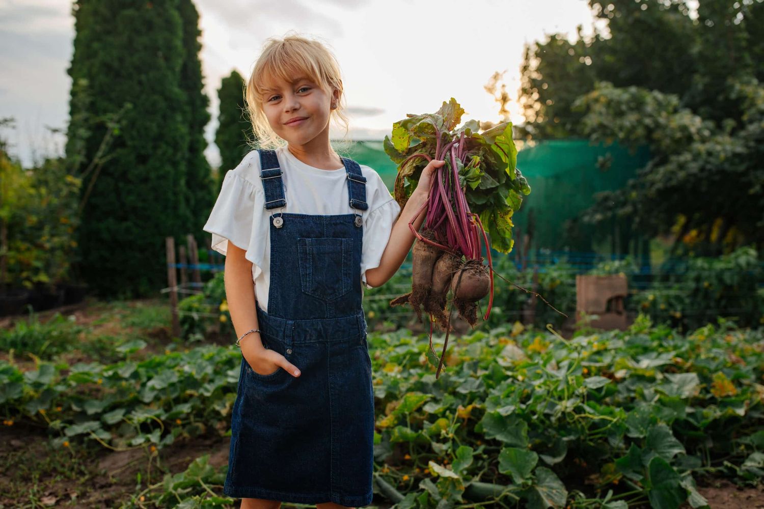 Mit dem Projekt „Ackern im Innviertel“ erhalten Kinder die Möglichkeit, Landwirtschaft hautnah zu erleben eine wertvolle Erfahrung für eine nachhaltige Zukunft.