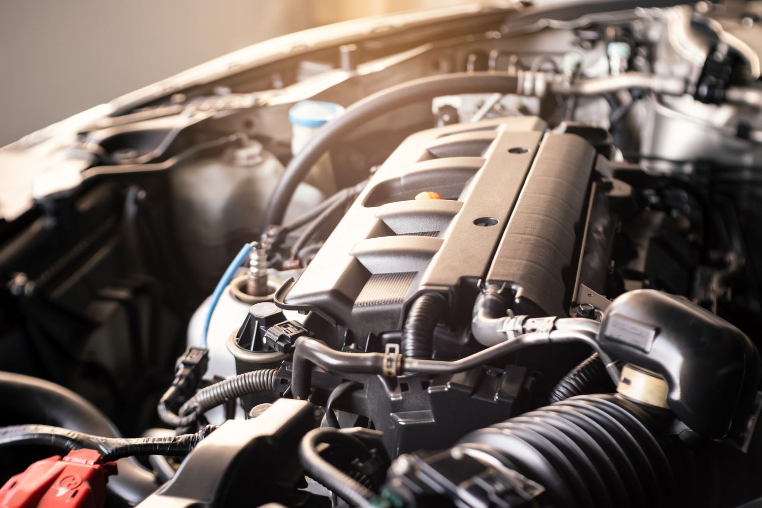 Motor