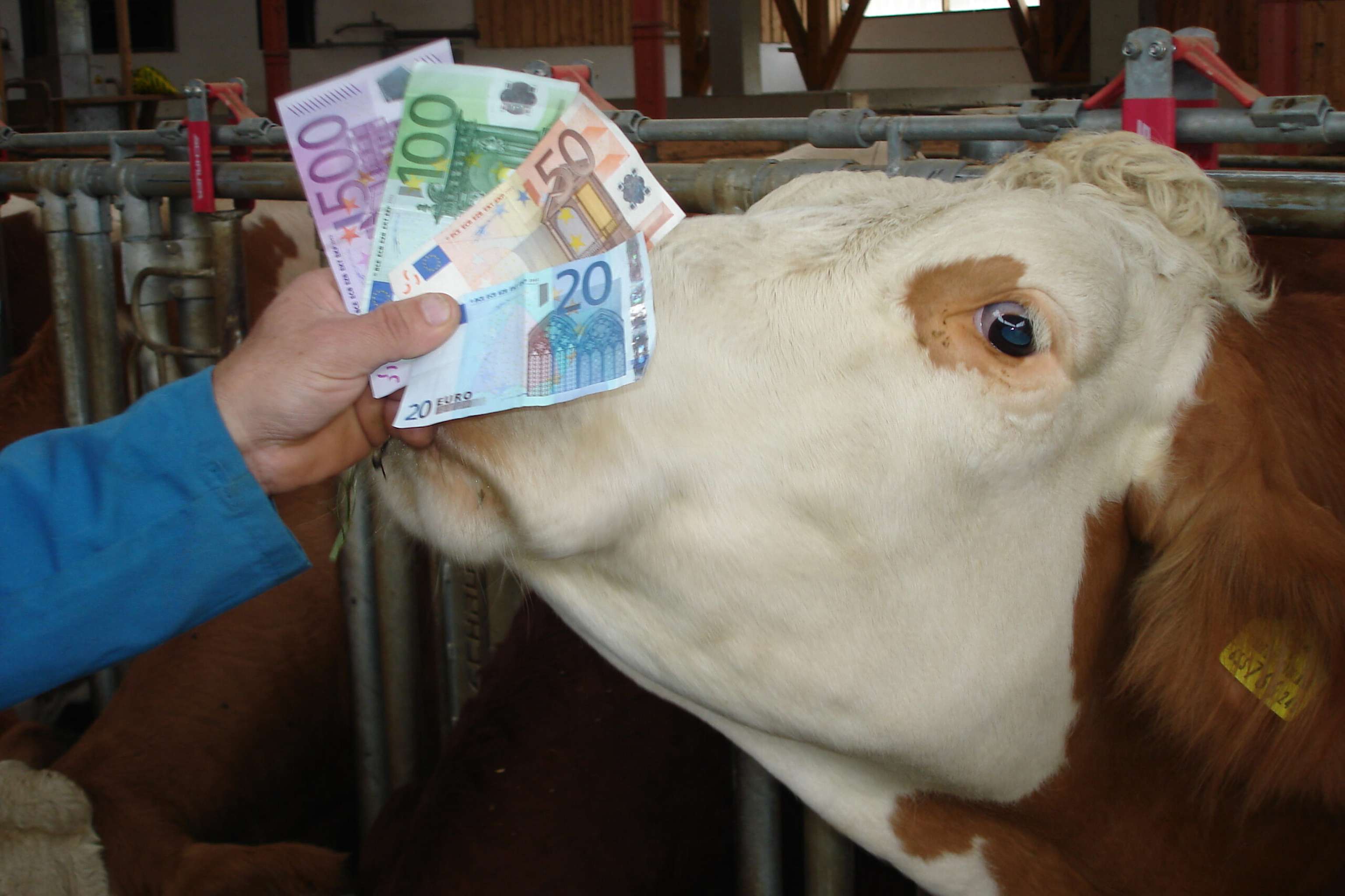 Kurse
