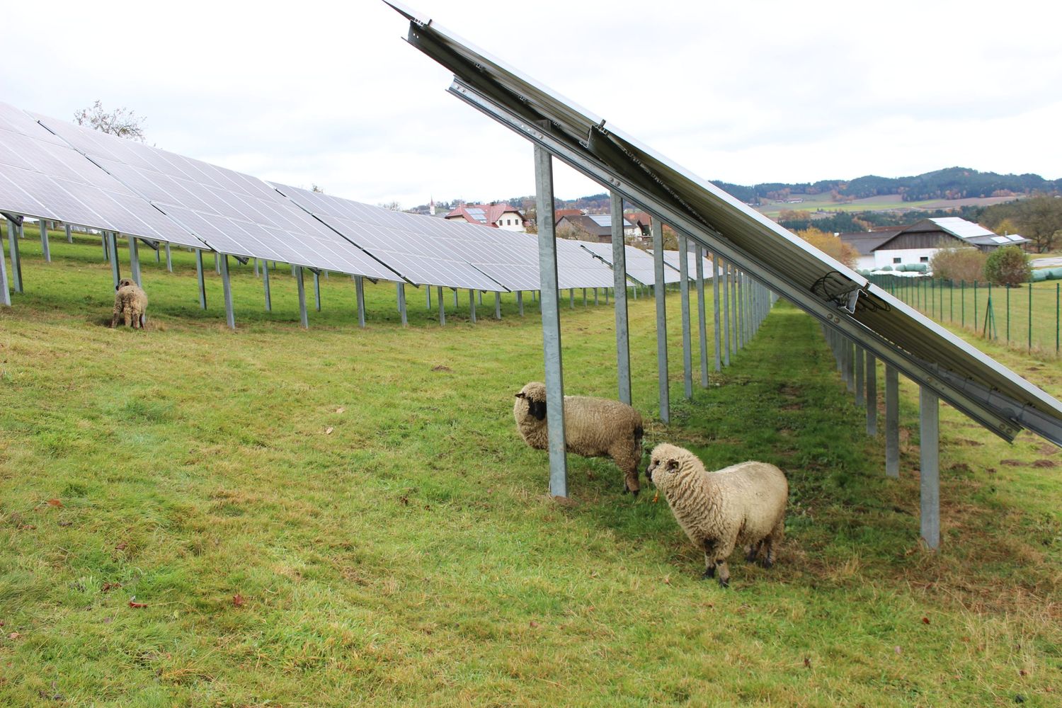 Angesichts der aktuellen energiepolitischen Situation gilt es vernünftige Lösungen insbesondere im Bereich Photovoltaikanlagen auf Freiflächen zu finden.