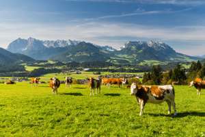Landwirtschaft Österreich