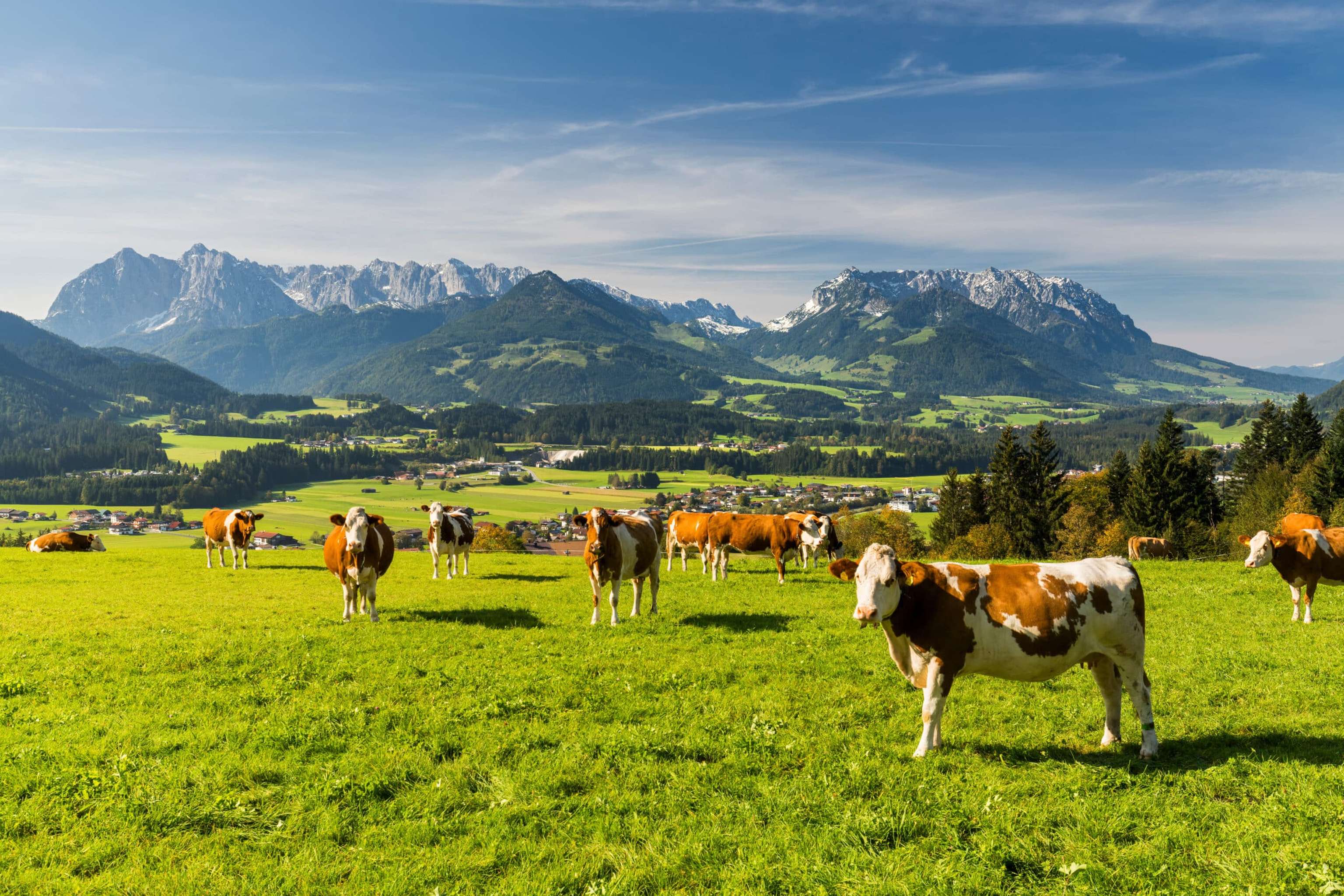 Landwirtschaft Österreich