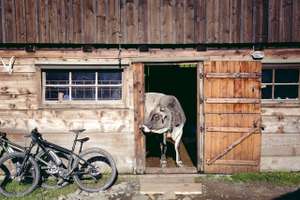 E-Mountainbike
