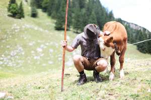 Hirte Mit Kühen