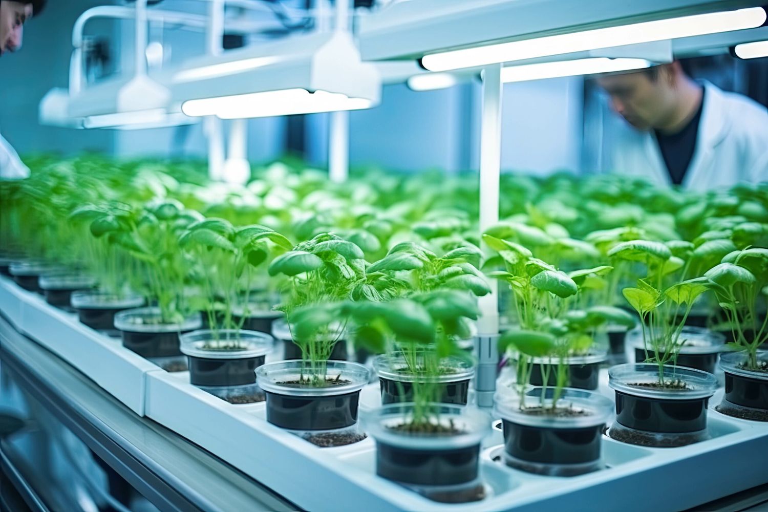 Hydroponics Lab Room On Spacecraft. Organic Laboratory Scientists And Biologists Testing Plants Quality. Farm Of The Future And Agricultural Laboratory Concept. New Methods Of Plant Breeding