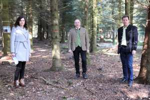 Jachs Kastler Hiegelsberger Gadermair Im Fostlichen Versuchsgarten St.Fl…