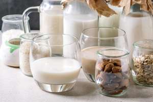 Variety Of Non Dairy Milk