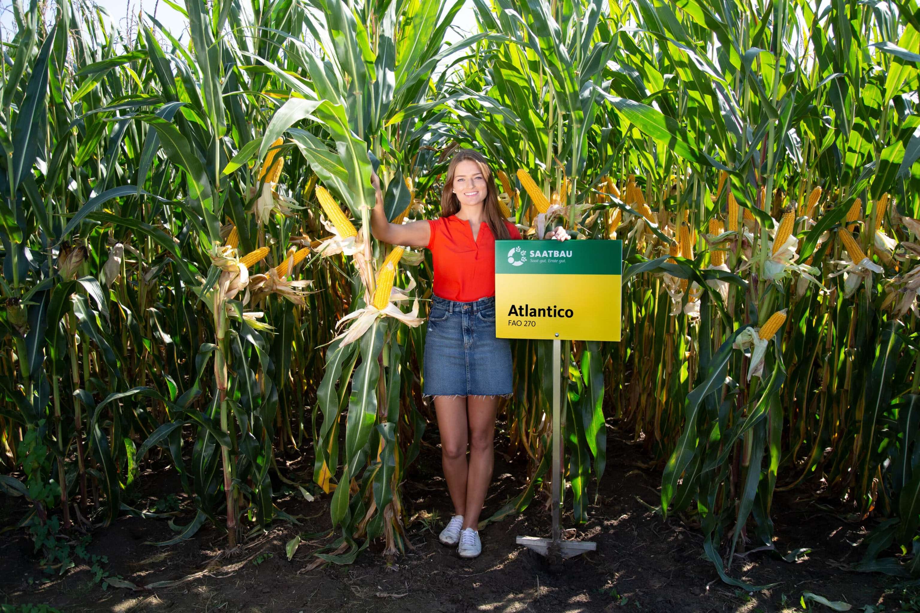 Höchstleistungen im früheren Reifebereich.