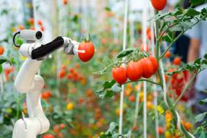 Smart Robotic Farmers