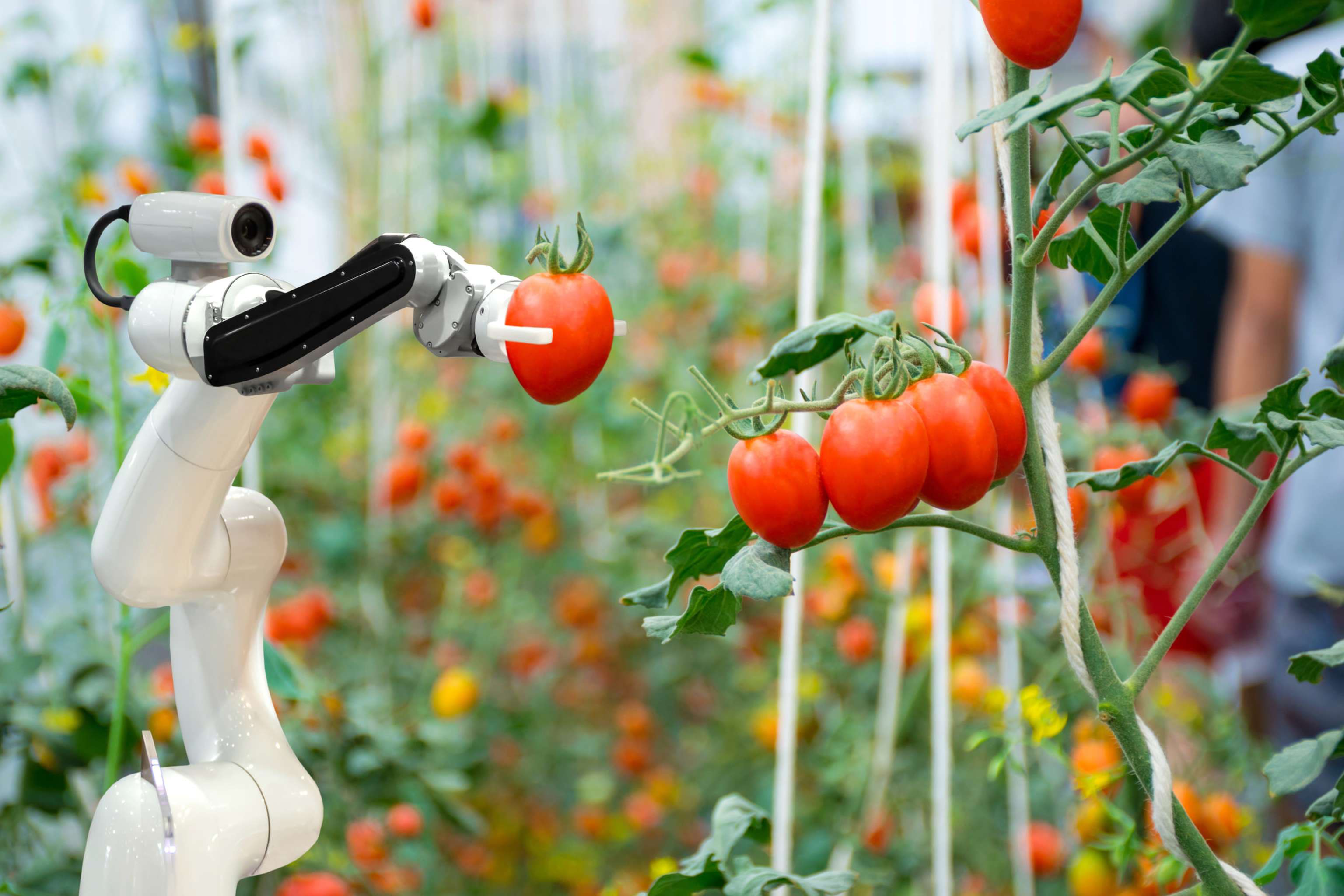 Smart Robotic Farmers
