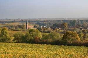 Forst An Der Weinstraße