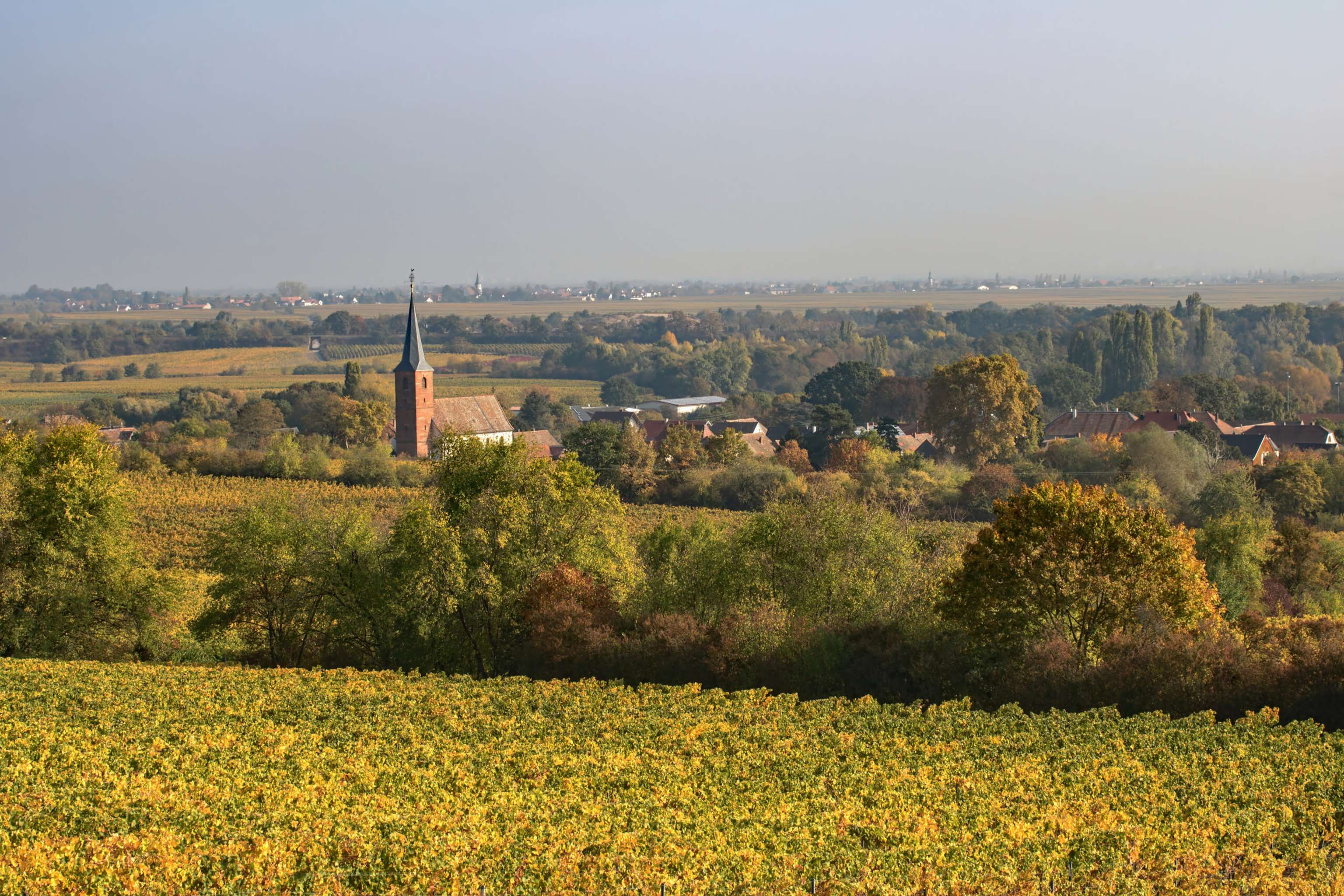 Forst An Der Weinstraße