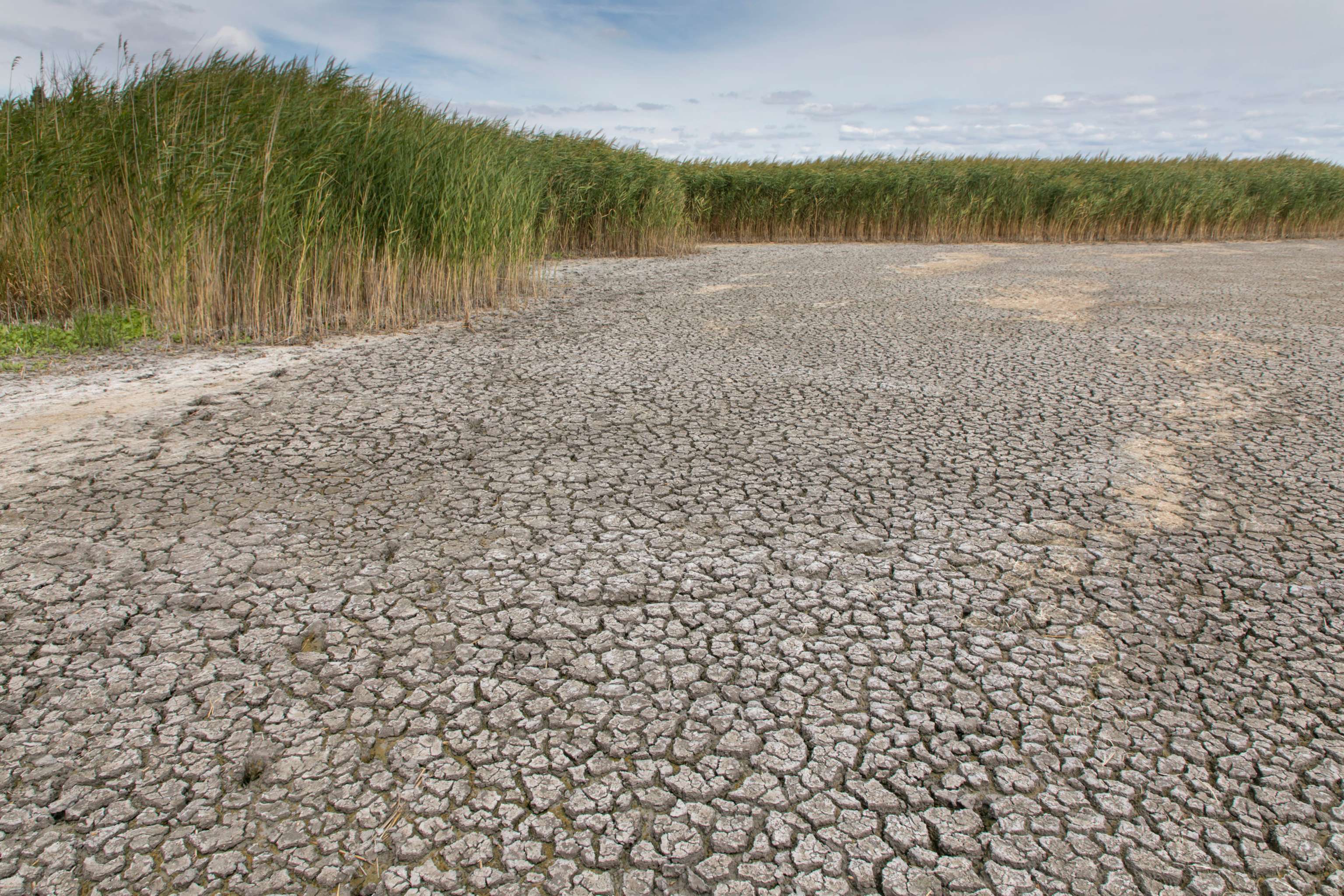 Nationalpark Neusiedler See