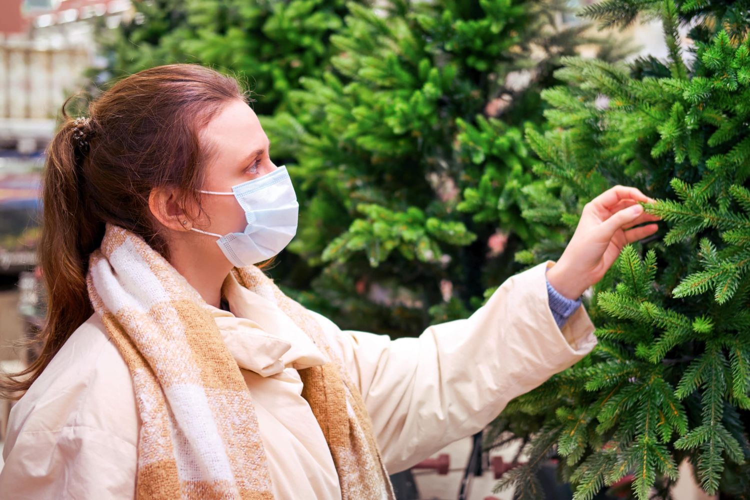 Buying A Christmas Tree To Celebrate The New Year. Lifestyle, A Celebration Of The Coronavirus Pandemic