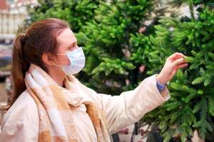 Buying A Christmas Tree To Celebrate The New Year. Lifestyle, A Celebration Of The Coronavirus Pandemic
