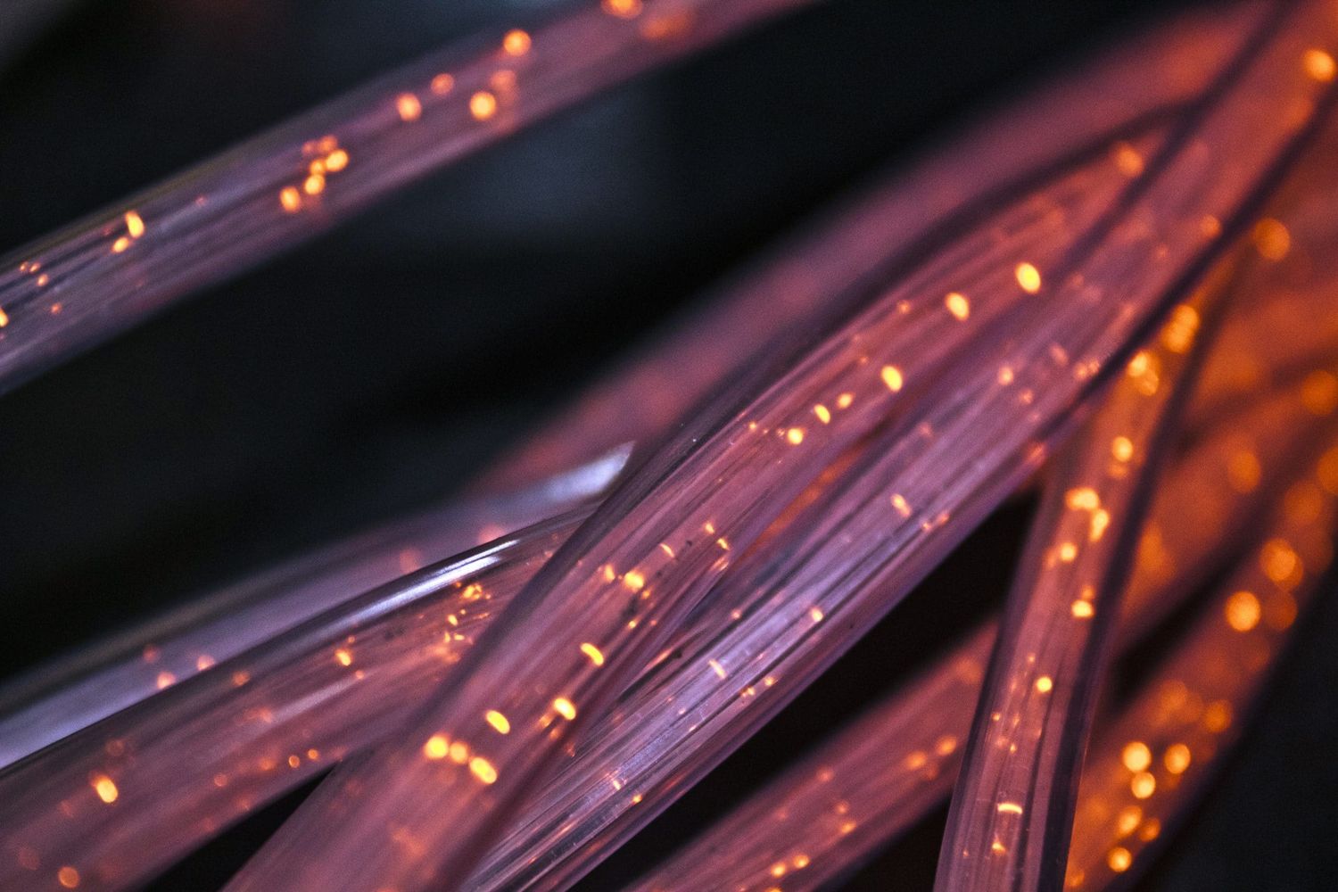 Fiber 4814456 2