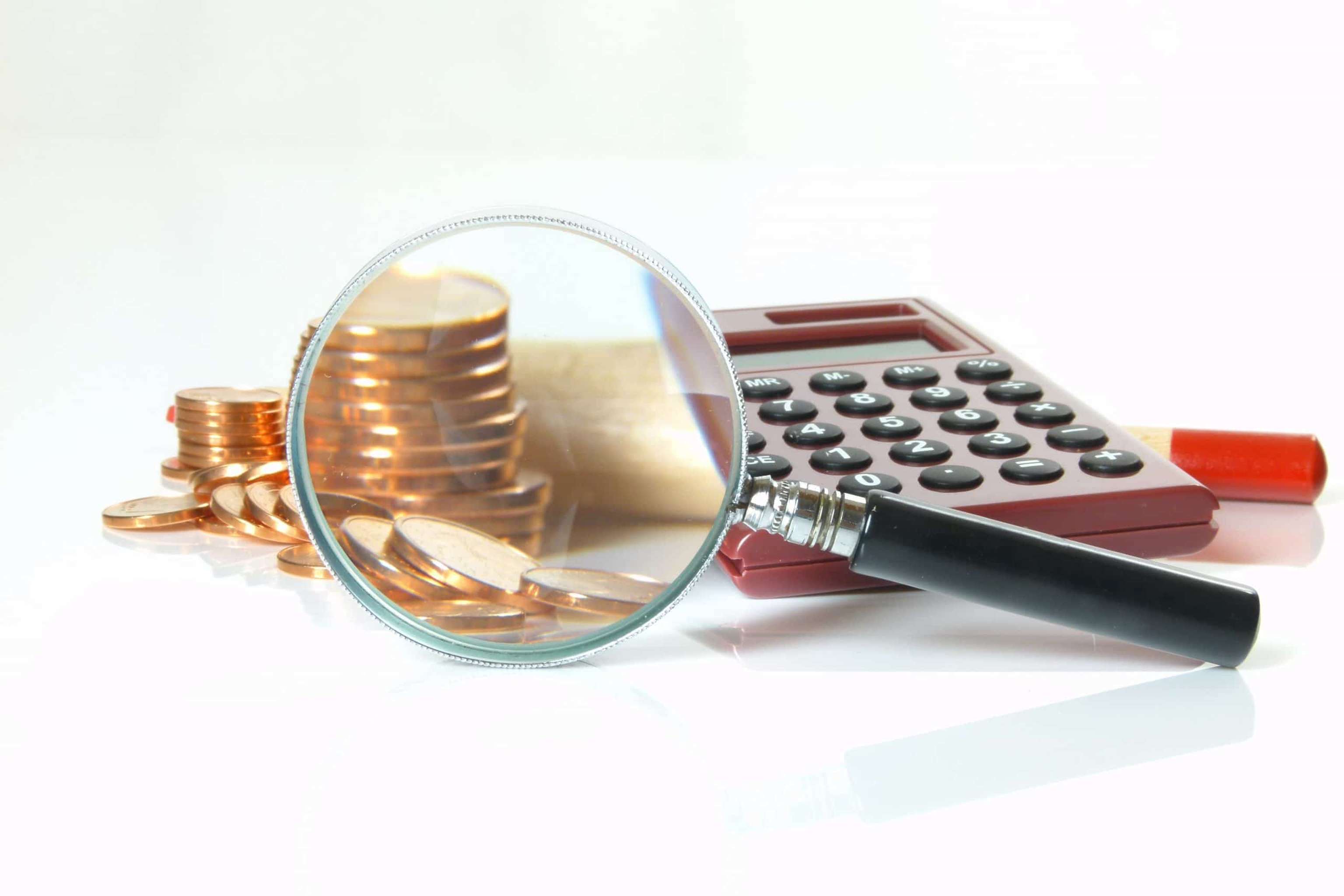 Finanzkontrolle / Financial Control