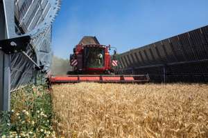 Symbolbild Agri PV Anlage