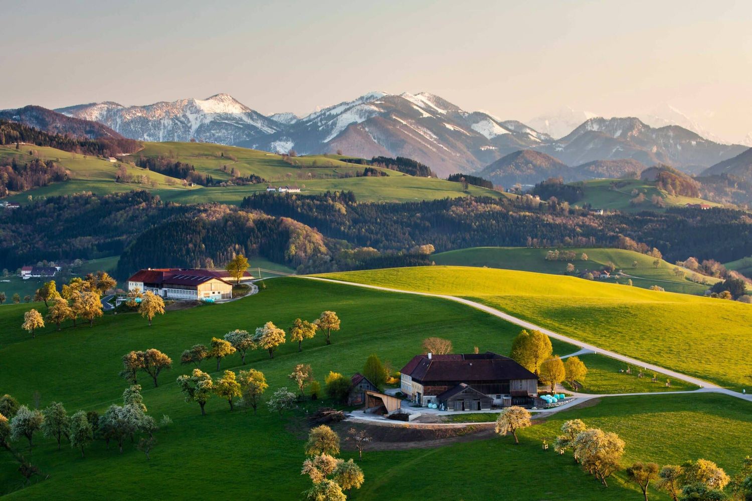 Zum 13. Mal finden heuer die Mostviertler Landtechniktage statt.