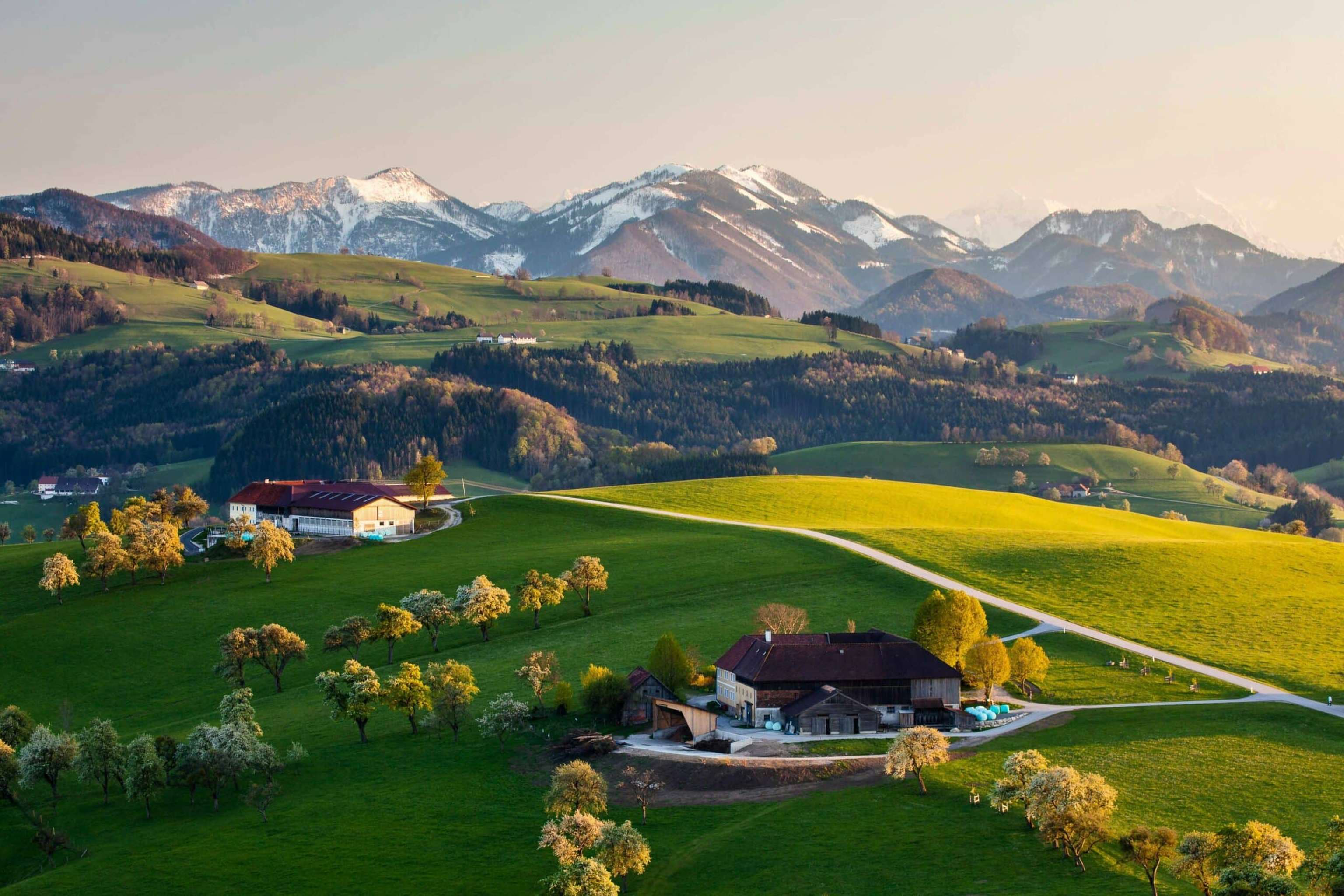 Zum 13. Mal finden heuer die Mostviertler Landtechniktage statt.