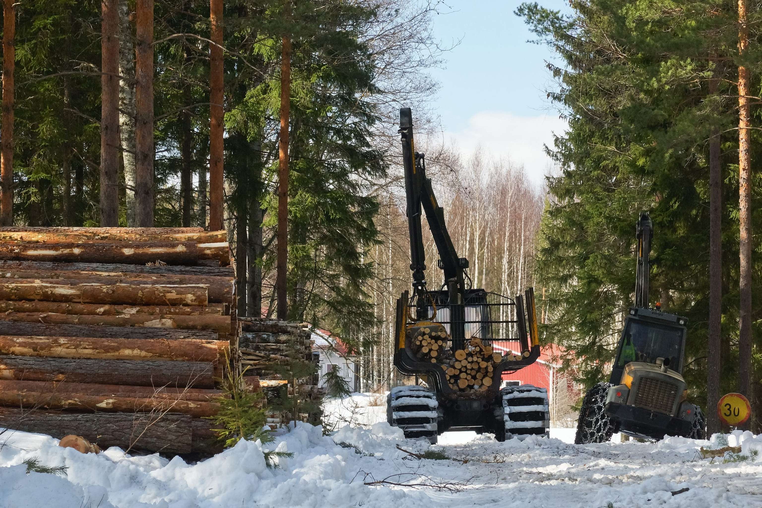 Forest Felling Works
