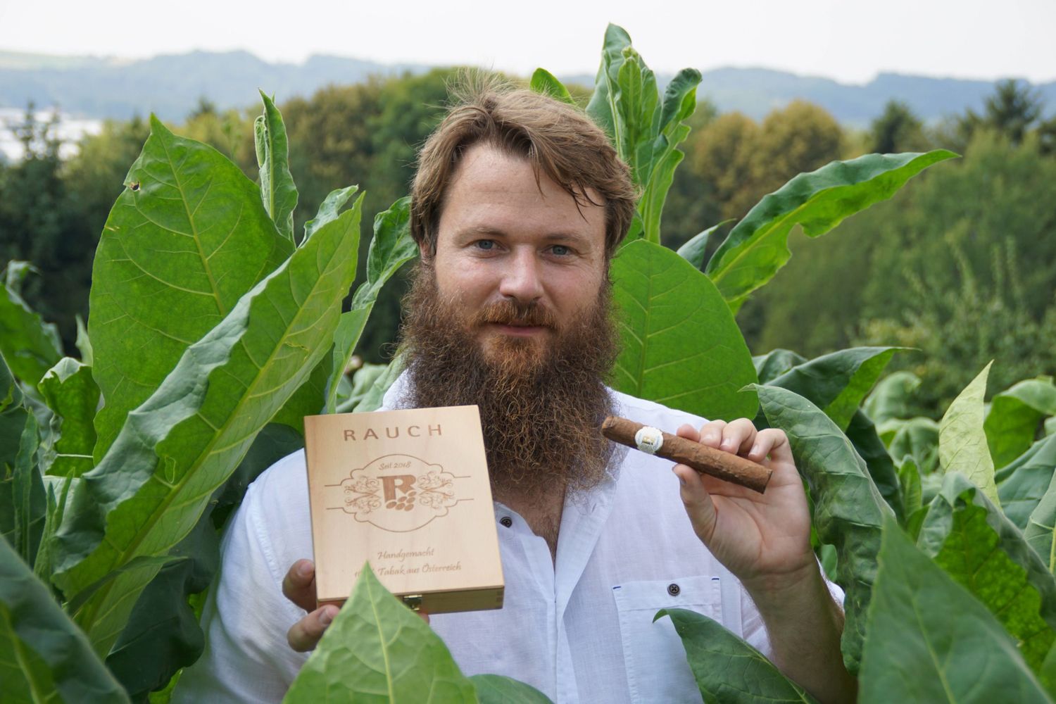 Johannes Rauch mit einer seiner handgerollten Zigarren in seinem Tabakfeld.