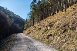 Forststraße