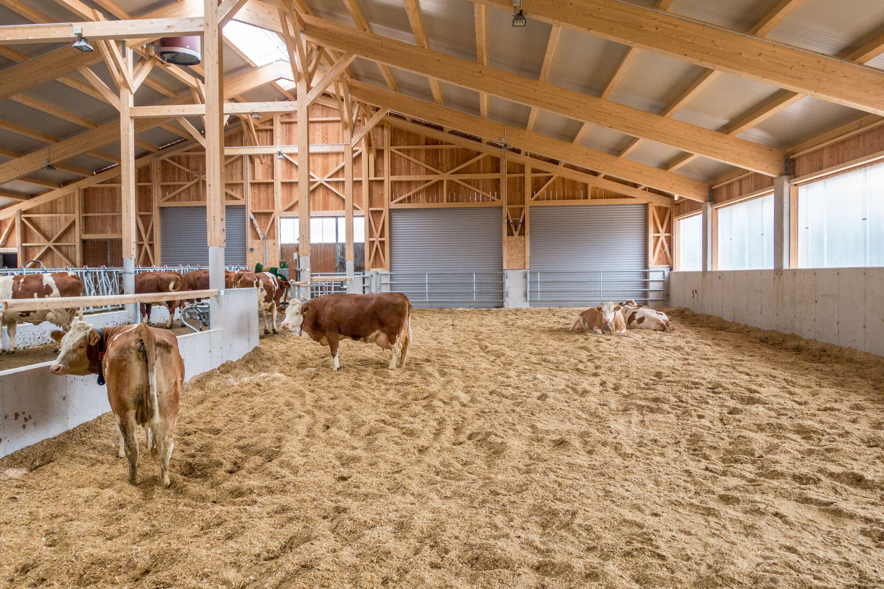 Kompoststall 5 ID77149