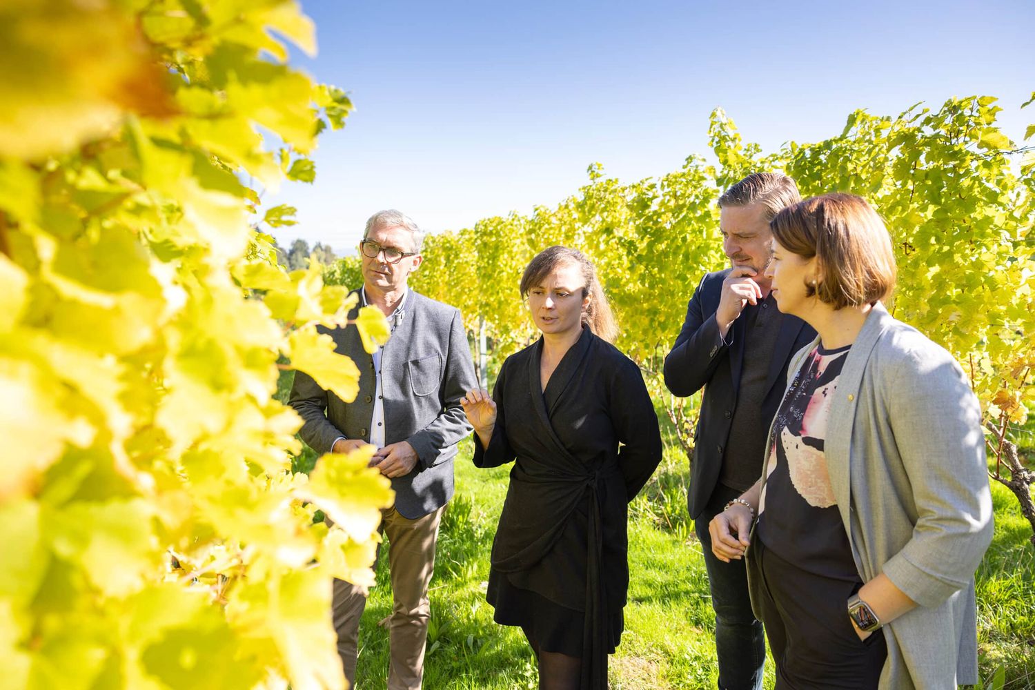 Waldenberger, Wurm, Gmeiner und Langer-Weninger zogen Bilanz über das heurige Weinjahr.
