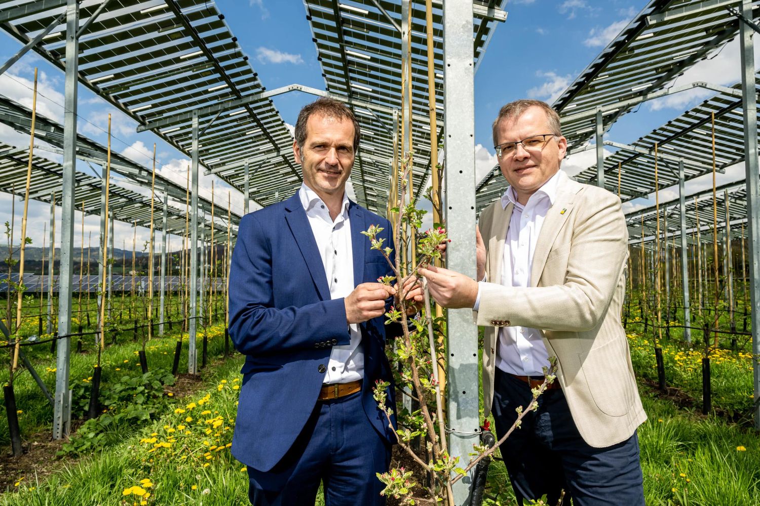 Agri-PV