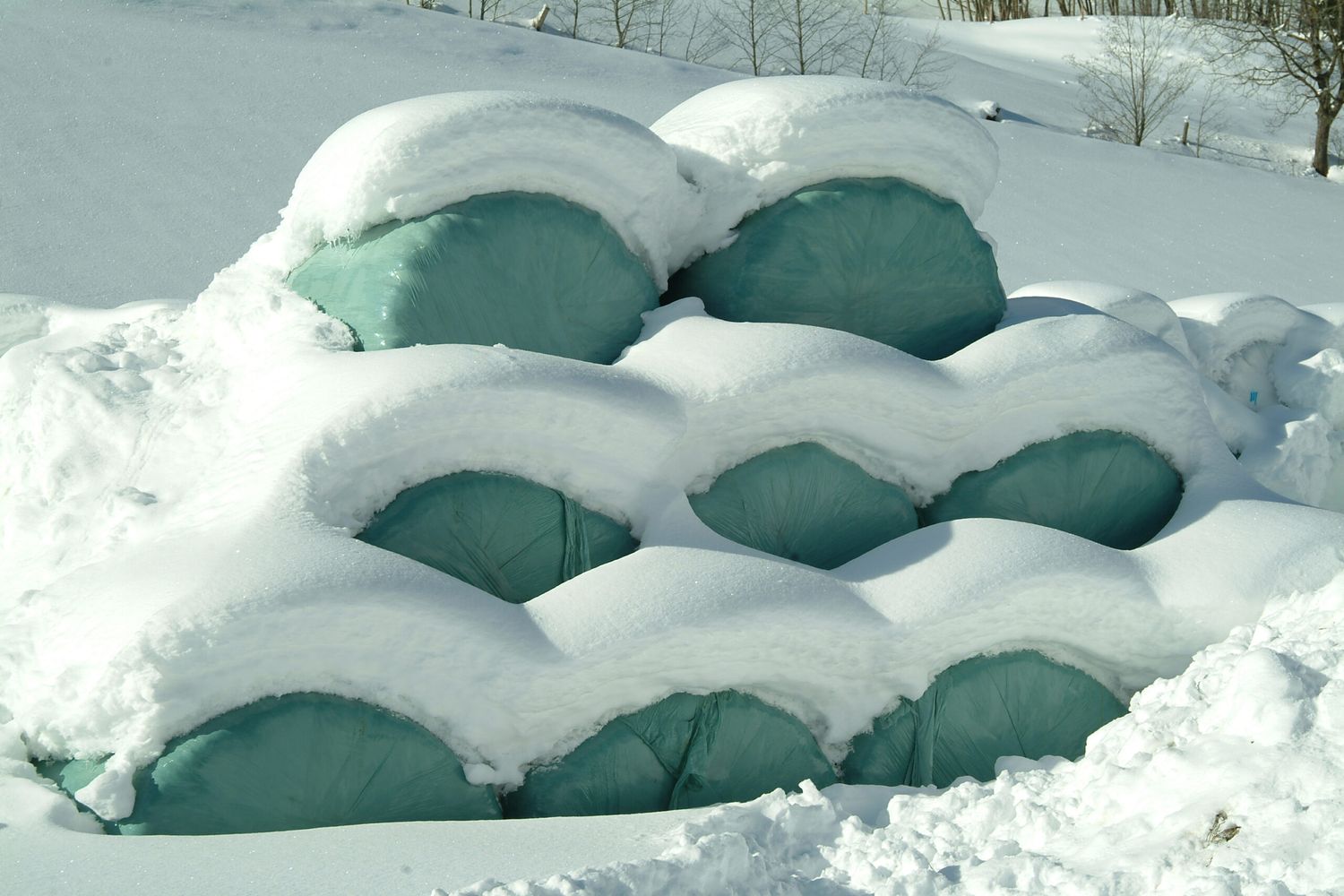 Siloballen