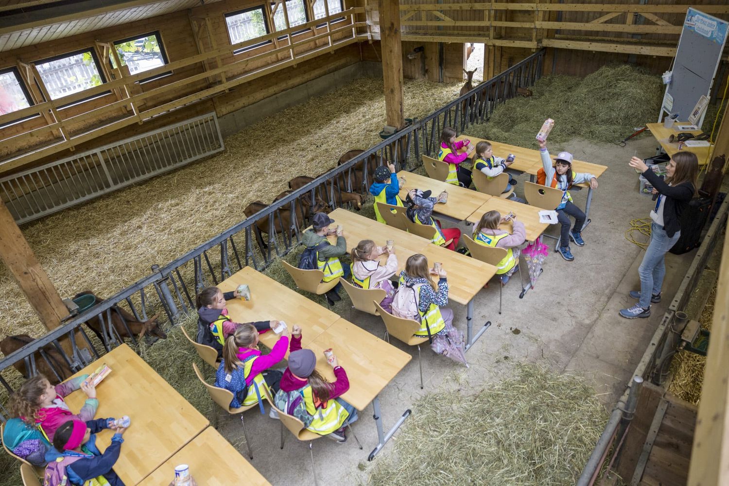 Im „Klassenzimmer im Stall“ waren vergangene Woche rund 200 Schülerinnen und Schüler zu Gast.