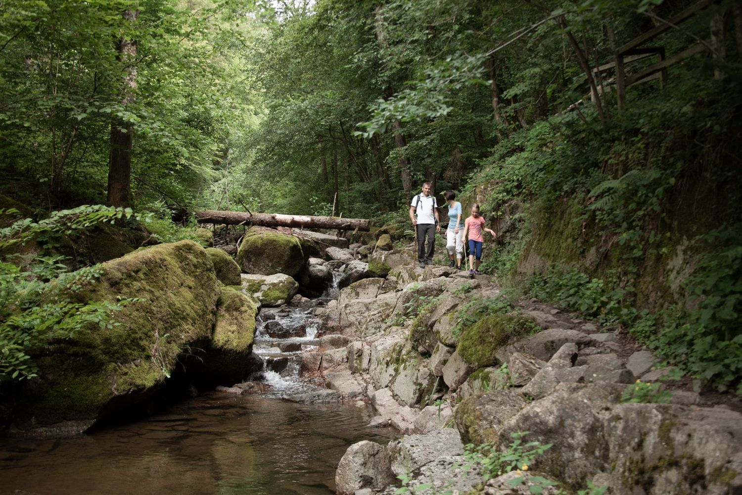 Pesenbachtal+Bad+Mühllacken