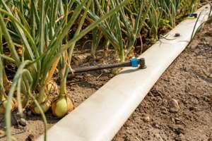 Künstliche Bewässerung