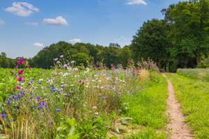 Nature Inclusive Agriculture In The Netherlands