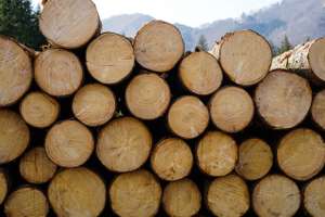 Holzstoß